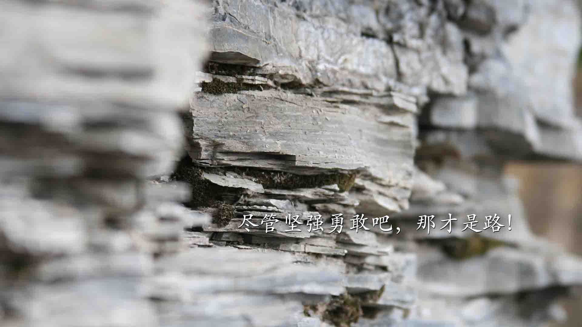 青少年体育赛事组织管理,青少年体育比赛项目