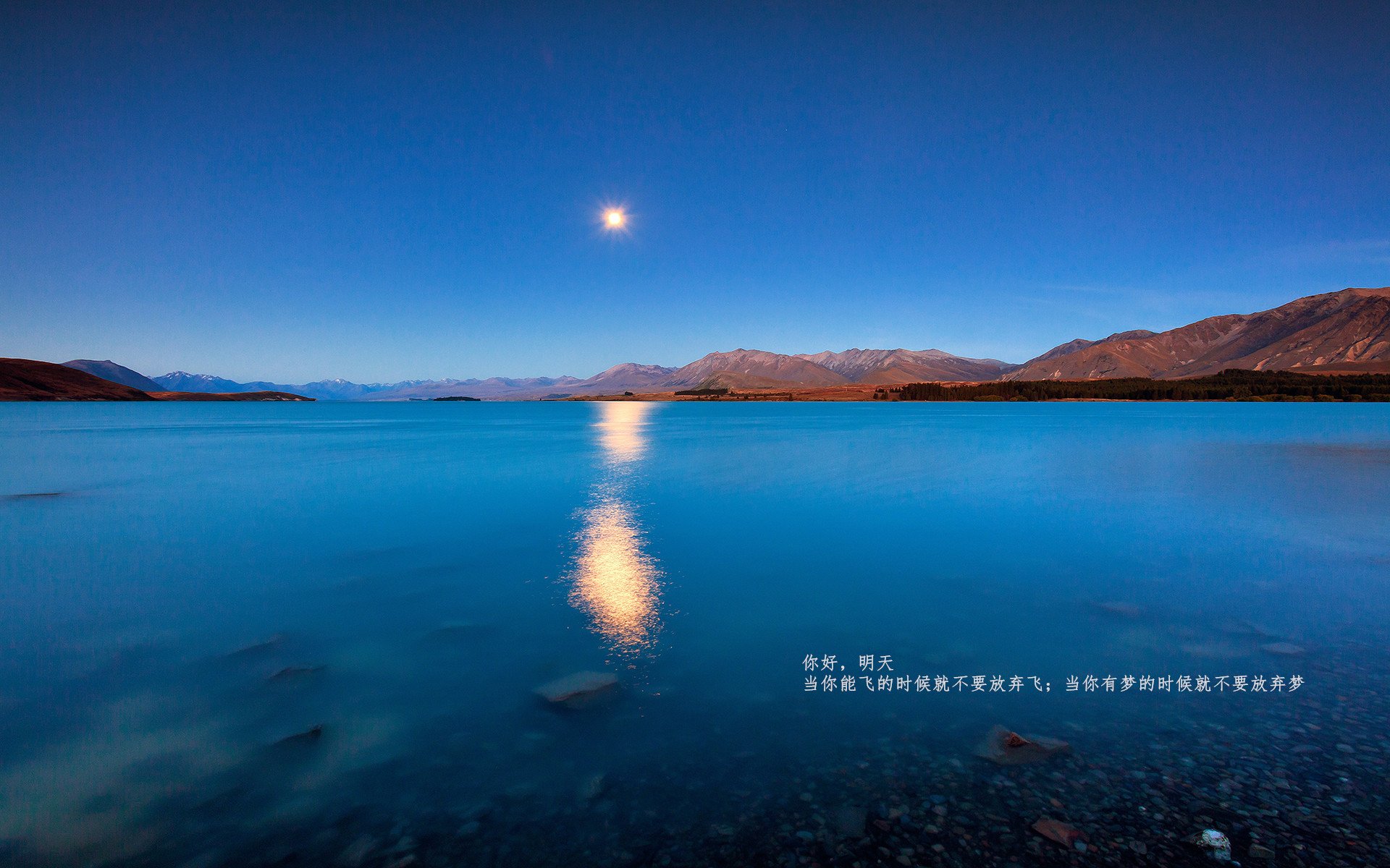 九游娱乐平台-Black &amp; White &amp; Read All Over