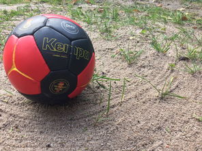 九游官网入口-“沙滩赛场燃爆天府新区，沙滩手球和合球上演极限对决”