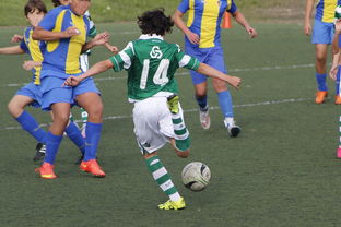 九游娱乐登录-体育纪录片内容更加丰富，体育纪录片主题