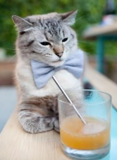 世界杯超燃剪辑：最令人难忘的瞬间合集，世界杯超燃视频