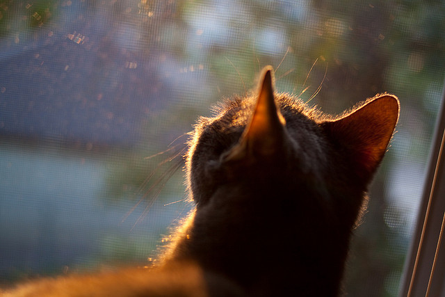 九游官网入口-划频控制精准，节奏感明显增强，划幅和划频
